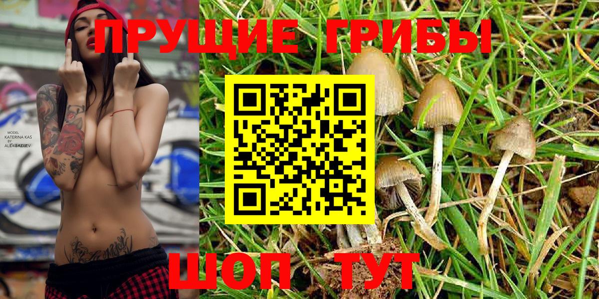 Галлюциногенные грибы MAGIC MUSHROOMS Отрадное